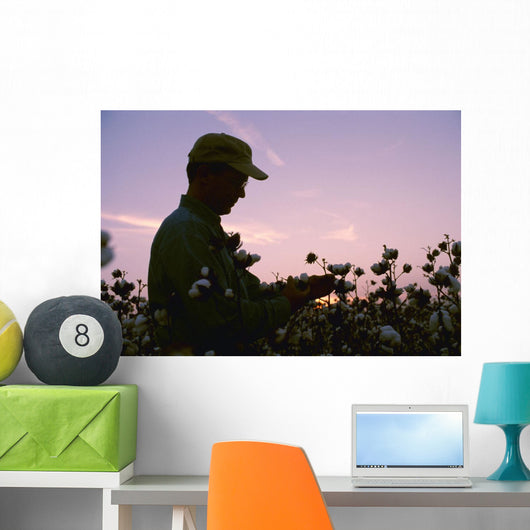 Farmer Inspects His Mature Wall Decal