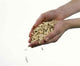 Wood Pellets Wall Decal Design 1