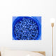 Agriculture - Closeup of freshly harvested blueberries Wall Mural