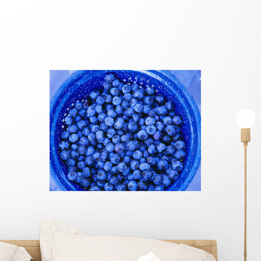 Agriculture - Closeup of freshly harvested blueberries Wall Mural