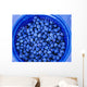Agriculture - Closeup of freshly harvested blueberries Wall Mural