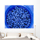 Agriculture - Closeup of freshly harvested blueberries Wall Mural