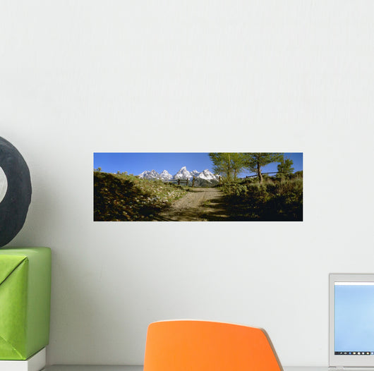 Agriculture - Gravel ranch road and gate Wall Mural