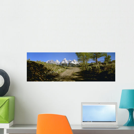 Agriculture - Gravel ranch road and gate Wall Mural