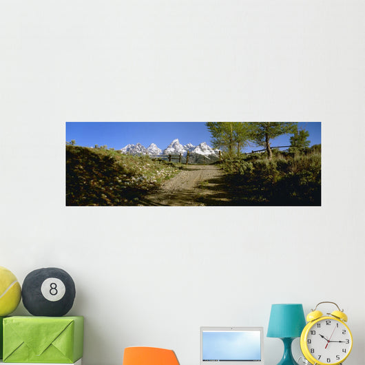 Agriculture - Gravel ranch road and gate Wall Mural