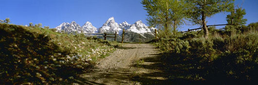 Agriculture - Gravel ranch road and gate Wall Mural