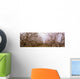 Agriculture - Almond orchard in bloom in late winter / Fresno County Wall Mural