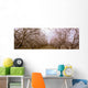 Agriculture - Almond orchard in bloom in late winter / Fresno County Wall Mural