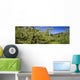Agriculture - Apple orchard Wall Mural