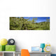 Agriculture - Apple orchard Wall Mural