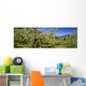 Agriculture - Apple orchard Wall Mural