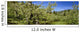 Agriculture - Apple orchard Wall Mural
