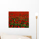 Agriculture - Commercial flower field Wall Mural