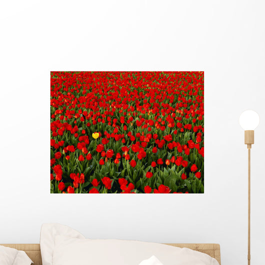 Agriculture - Commercial flower field Wall Mural