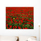 Agriculture - Commercial flower field Wall Mural