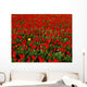 Agriculture - Commercial flower field Wall Mural