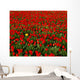 Agriculture - Commercial flower field Wall Mural