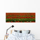 Agriculture - Rows of red tulips Wall Mural