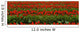 Agriculture - Rows of red tulips Wall Mural