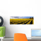 Agriculture - Large field of daffodils Wall Mural