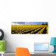 Agriculture - Large field of daffodils Wall Mural