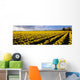 Agriculture - Large field of daffodils Wall Mural