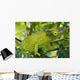Jackson chameleon hides Wall Mural