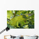 Jackson chameleon hides Wall Mural