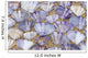 Seashells laying Wall Mural