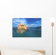 Floating in the ocean Wall Mural