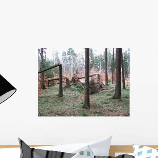 Umgeknickte Baume Wall Decal
