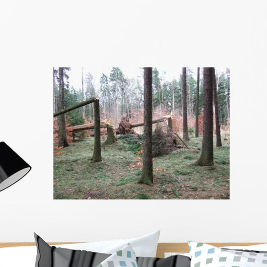 Umgeknickte Baume Wall Decal