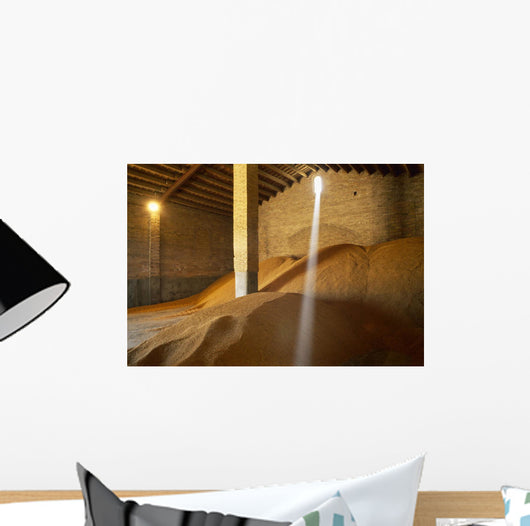 Agriculture - Harvested rice Wall Mural
