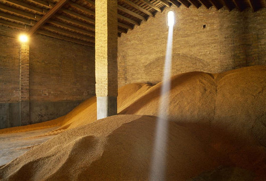 Agriculture - Harvested rice Wall Mural