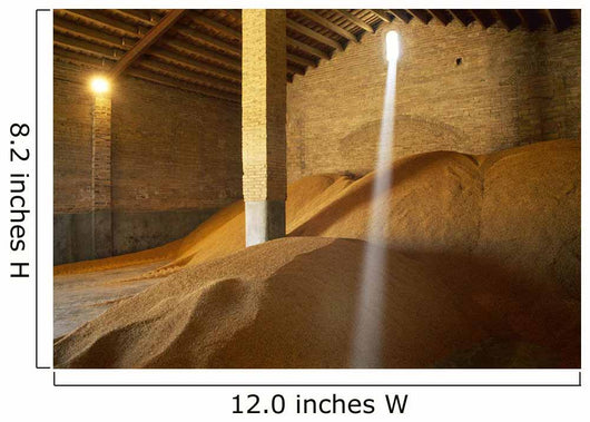 Agriculture - Harvested rice Wall Mural