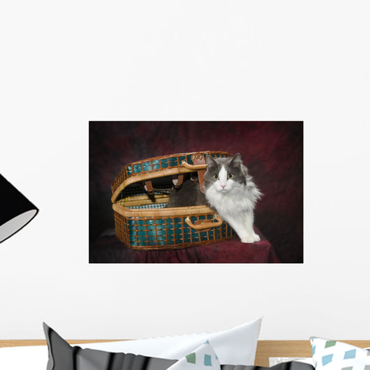 Portrait of a cat in a basket;St albert alberta canada Wall Mural