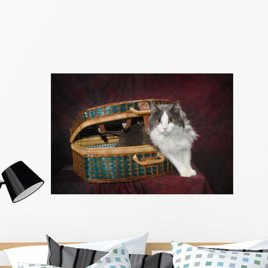 Portrait of a cat in a basket;St albert alberta canada Wall Mural