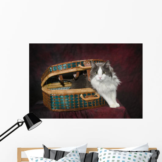 Portrait of a cat in a basket;St albert alberta canada Wall Mural