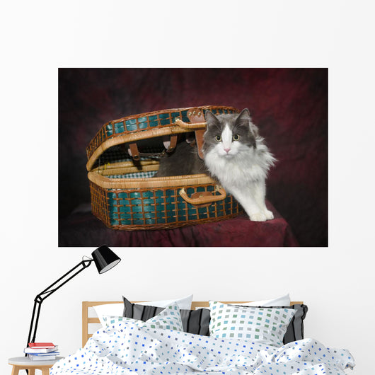 Portrait of a cat in a basket;St albert alberta canada Wall Mural