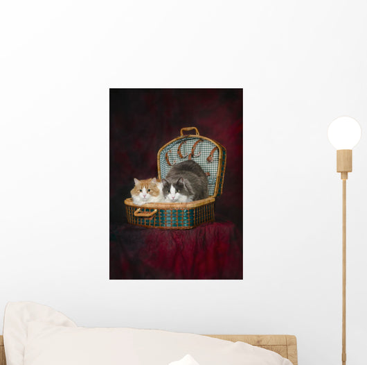 Portrait of two cats in a basket;St albert alberta canada Wall Mural
