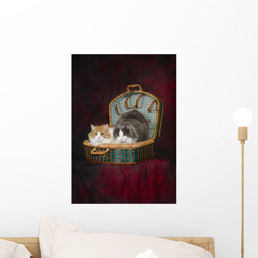 Portrait of two cats in a basket;St albert alberta canada Wall Mural