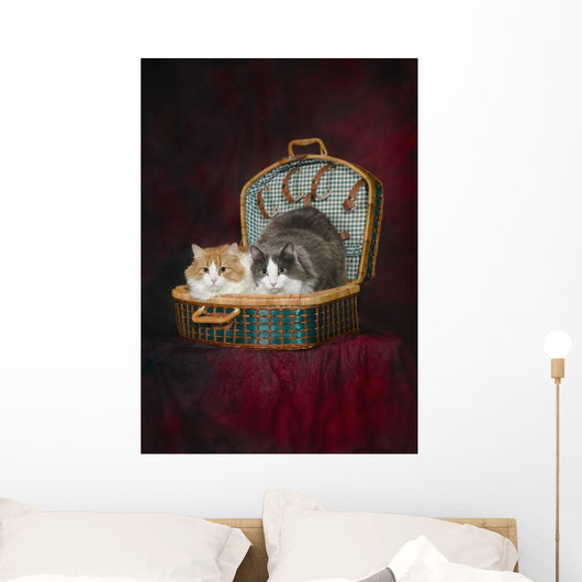 Portrait of two cats in a basket;St albert alberta canada Wall Mural