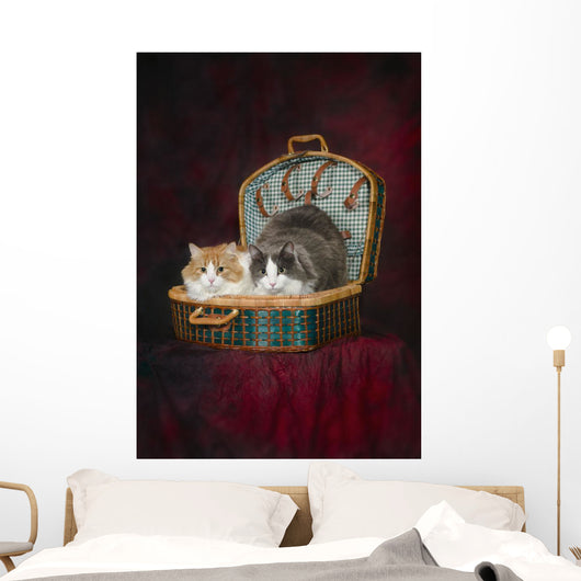 Portrait of two cats in a basket;St albert alberta canada Wall Mural