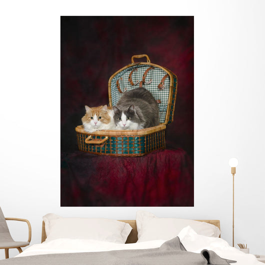 Portrait of two cats in a basket;St albert alberta canada Wall Mural