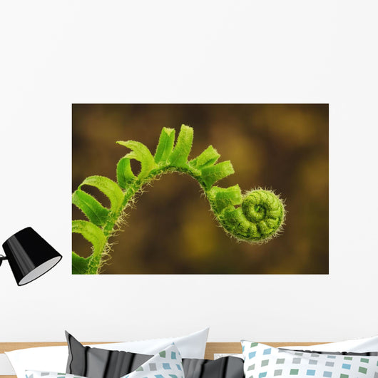 Close up of a fern opening a new leaf Wall Mural