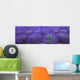 Agriculture - Mature Lavender in the field in mid summer / near Sequim Wall Mural