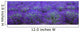 Agriculture - Mature Lavender in the field in mid summer / near Sequim Wall Mural