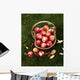Agriculture - Fresh Honey Crisp apples Wall Mural