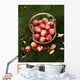 Agriculture - Fresh Honey Crisp apples Wall Mural