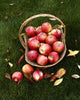 Agriculture - Fresh Honey Crisp apples Wall Mural